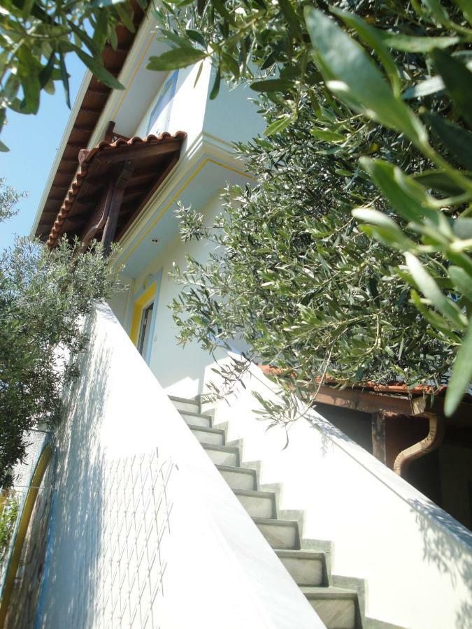 Villa Di Costa Nea Skioni Zewnętrze zdjęcie